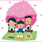 金沢自然公園の桜の見頃時期は？営業時間やライトアップについても！